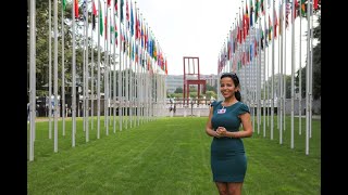 United Nations Immersion Programme