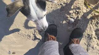 Flitzen am Strand