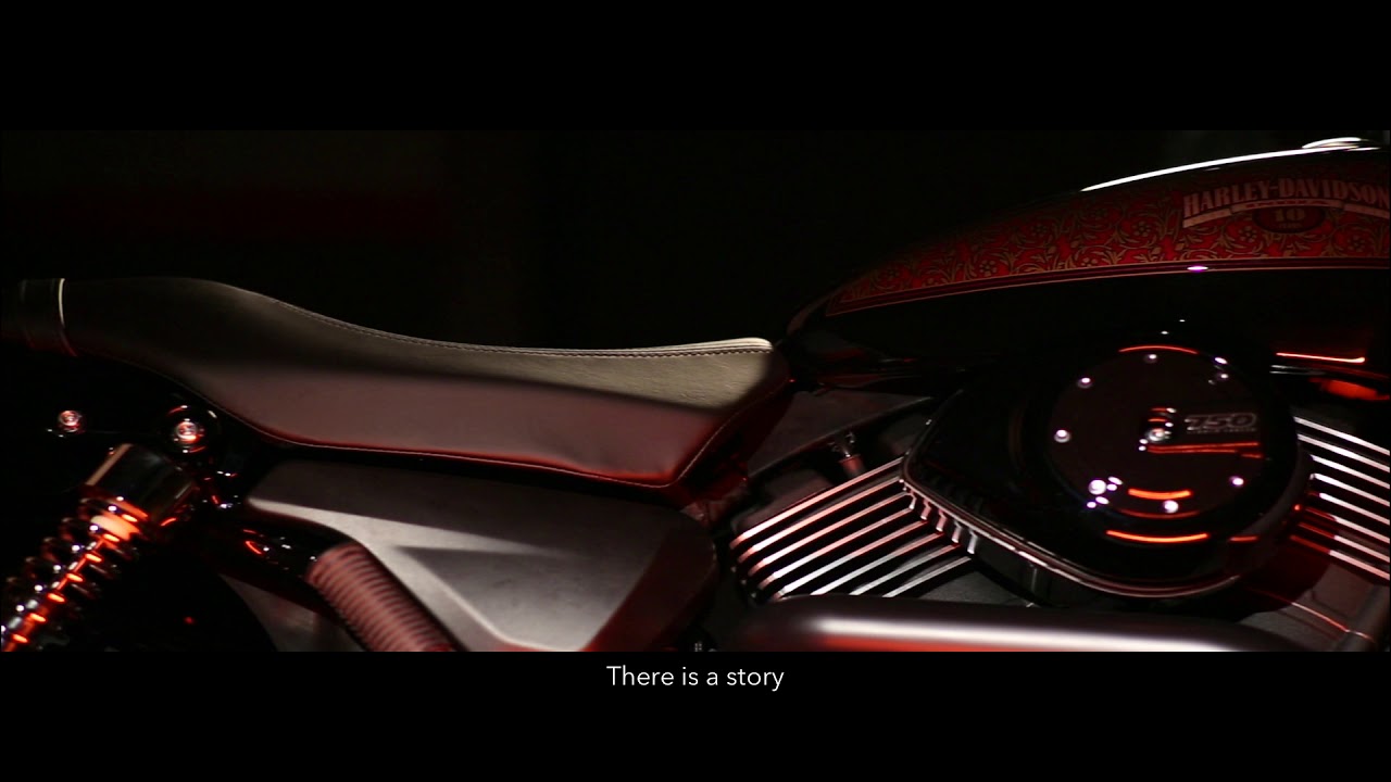 harley davidson street 750 10th anniversary edition price