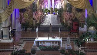8:30 AM Daily Mass - Wednesday, May 13, 2026