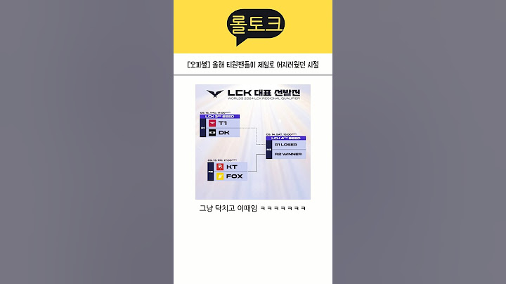 서머에 고생했던 T1팬들 우승 후 반응