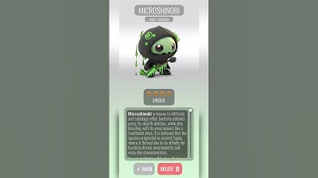 5 Ninja Fusion Combinations Part 3