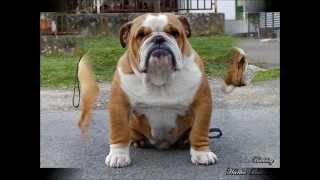 Rembombory Yambo montage.wmv