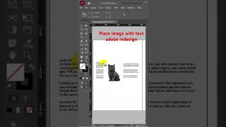 Place image with text In adobe indesign