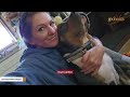 Dog dumped for being 'useless' just wants to be everyone's friend
