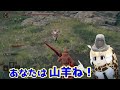 【エルデンリング　侵入】最近の聖女さんの侵入