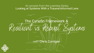 Resilient vs Robust Systems (Cynefin)