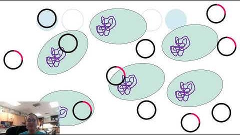 Plasmid Based Transformation