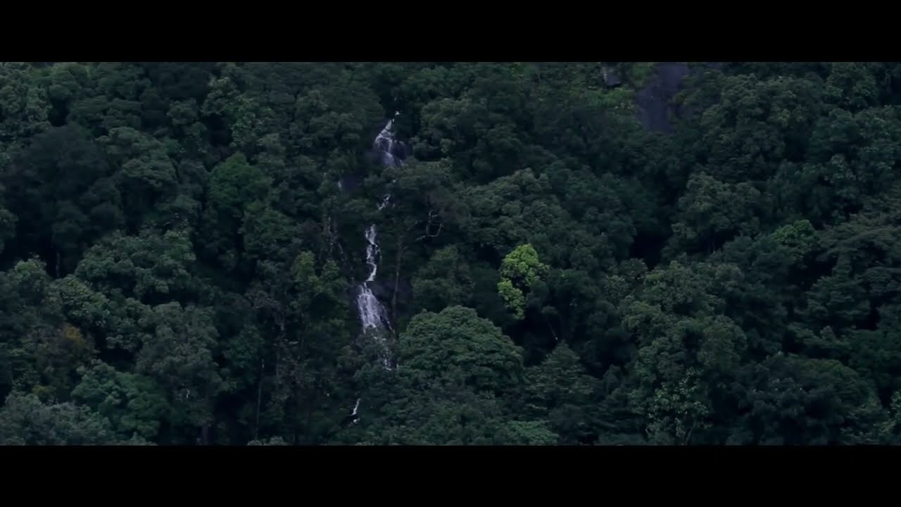 Sunrise Valley Resort, Kadassery | Wayanad