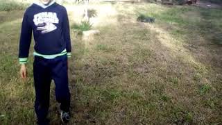Haciendo el baile del hilo dental