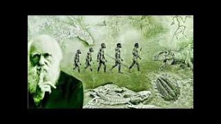 Evolution  What Darwin Never Knew Full Documentary HD