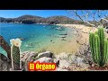 El Órgano, Playa Virgen Azul Turquesa en Huatulco Oaxaca