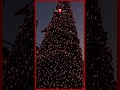 а Ўа їа ёа а а Ќа а а Ёа ѕ а а ёа а а а а Ўа ја а їа Ёа а а а а а њ Christmasday Celebration Denmark Copenhagen Somoytv Shorts а Ўа їа ёа а а Ќа а а Ёа ѕ а а ёа а а а а Ўа ја а їа Ёа а а а а а њ Christmasday Celebration Denmark Copenhagen Somoytv Shorts