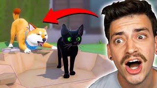 CUTE CAT VS SCARY DOG! (Little Kitty Big City) screenshot 2