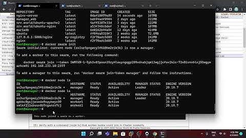 Demo Docker Swarm Cluster