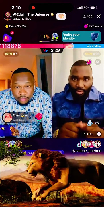 lion gifts on a Tiktok match