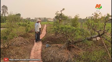 Hiệu quả chuyển đổi cơ cấu cây trồng