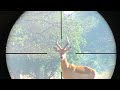 Side shot scope cam  capture de clichs crbraux sur les bliers impala