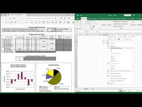 Excel užduoties komentaras