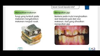 Tahun 6 / Sains Bil 13/ Bab 3: Kegunaan & Keburukan Mikroorganisma/ Buku Teks KSSR Semakan/ ms44-46 Tahun 6 / Sains Bil 13/ Bab 3: Kegunaan & Keburukan Mikroorganisma/ Buku Teks KSSR Semakan/ ms44-46