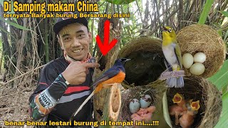 Ngebolang di Samping Kuburan ternyata banyak sarang burung di pohon bambu...😱 by ACUNK FLOG 13,155 views 1 day ago 31 minutes