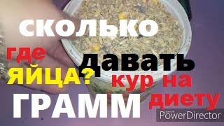 Почему Куры не Несутся?!/Какая Норма корма в День для Кур Несушек?/От Чего Зависит Яйценоскость Кур?