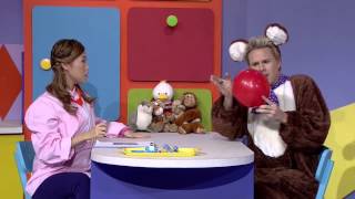 Doctor Dayen Helps Animals Feel Healthy & Fine | Hi-5 World