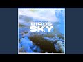 Birds in the sky mazzal20 remix