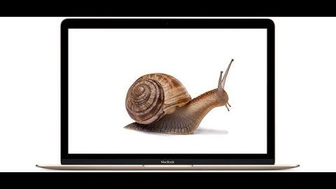 Why Chrome on macOS is Slow?