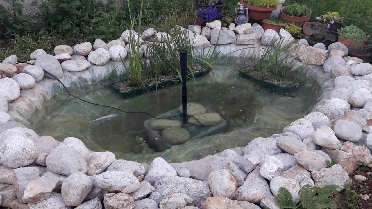Small garden pond YouTube