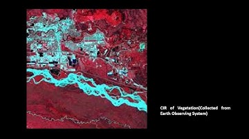 Image Processing Part 2: Color Infrared Images