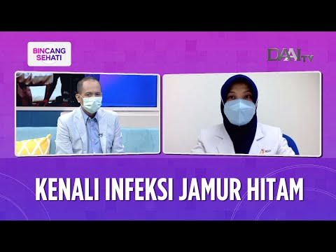 Video: Jamur Simpul Hitam - Mengobati Penyakit Simpul Hitam Pada Buah Plum Dan Ceri