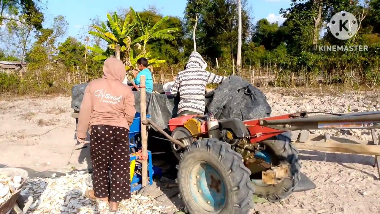 สวัสดีครับพี่น้องคลิปนี้บ่าวป้อม พาพี่น้องมาสับมันเส้นตากแดดครับ พอได้ค่า น้ำปลา ผงนัว