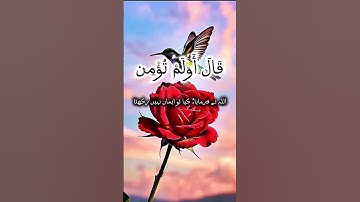 تلاوت قرآن سوره بقره 2:260-261 | داستان حضرت ابراهیم و مصداق صدقه