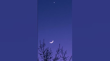 سورة المائدة • الشيخ #عبدالله_القرافي من المسجد النبوي الشريف
