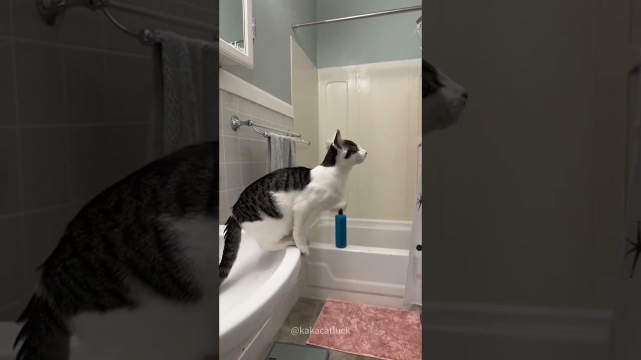 High altitude stunt performance failed 