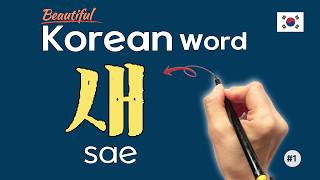The Secret of the Korean Word '새' (Sae) Details