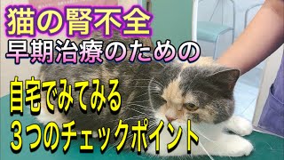 【猫の腎不全】早期治療のための自宅で出来るつのチェックポイント