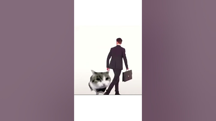I Think He Stole My Bag