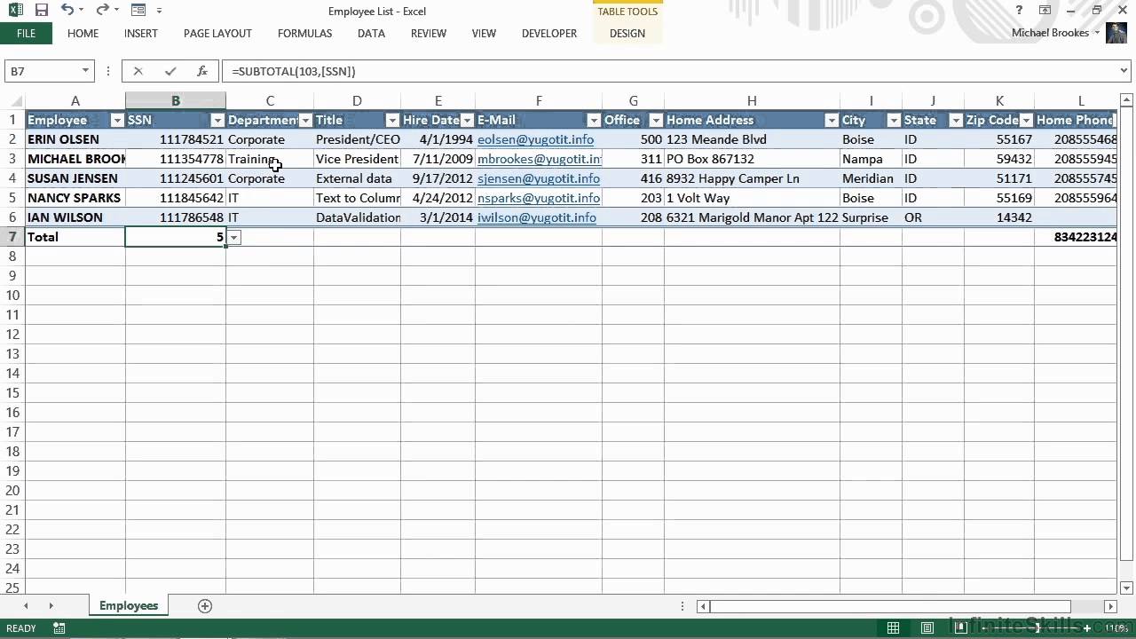 microsoft-excel-for-business-tutorial-managing-customers-vendors
