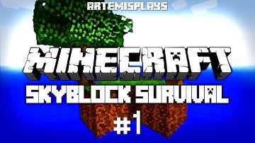 INFINITE WATER SOURCE YAY | Minecraft Skyblock Ep. 1