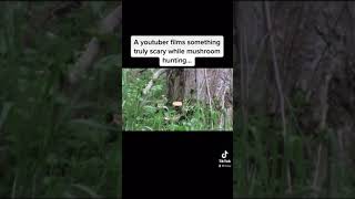 Terrifying Things Filmed In The Woods