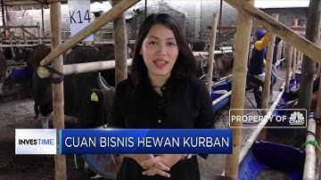 Mau Berbisnis Hewan Kurban?  Perhatikan Hal Ini