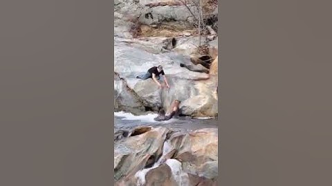 Man Rescues His Dog from Frigid Waterfall || ViralHog