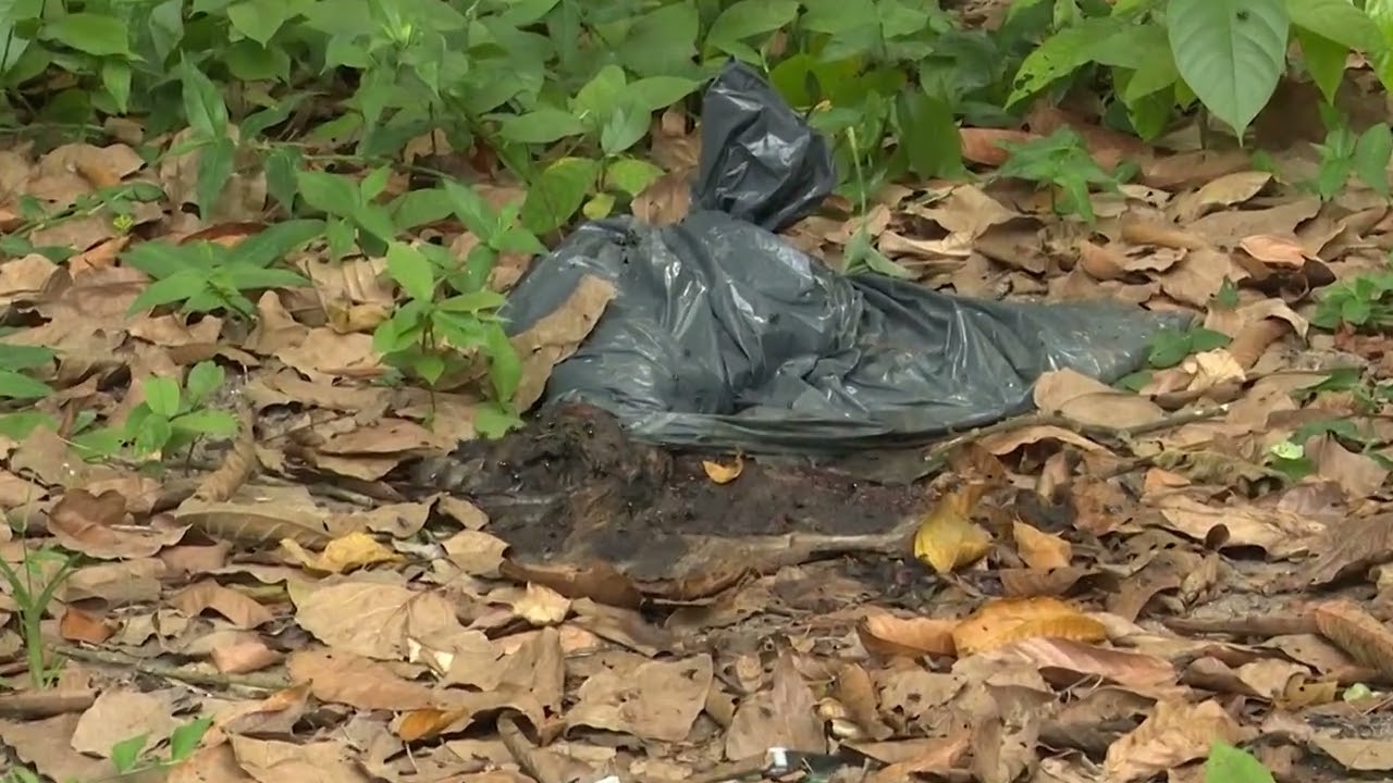Ook in de Cultuurtuin wordt er vuil gedumpt - Tbn Prime Alert 22 Aug 2026