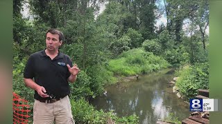 Volunteers Look For Harmful Algal Blooms