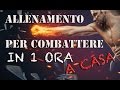 Allenamento da combattimento in casa in meno di una ora