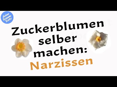 Video: Marzipan 