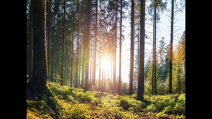 Comprehensive Behavioural Intervention for Tics Part 2