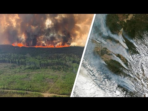 Шокирующие кадры лесных пожаров в Канаде из космоса